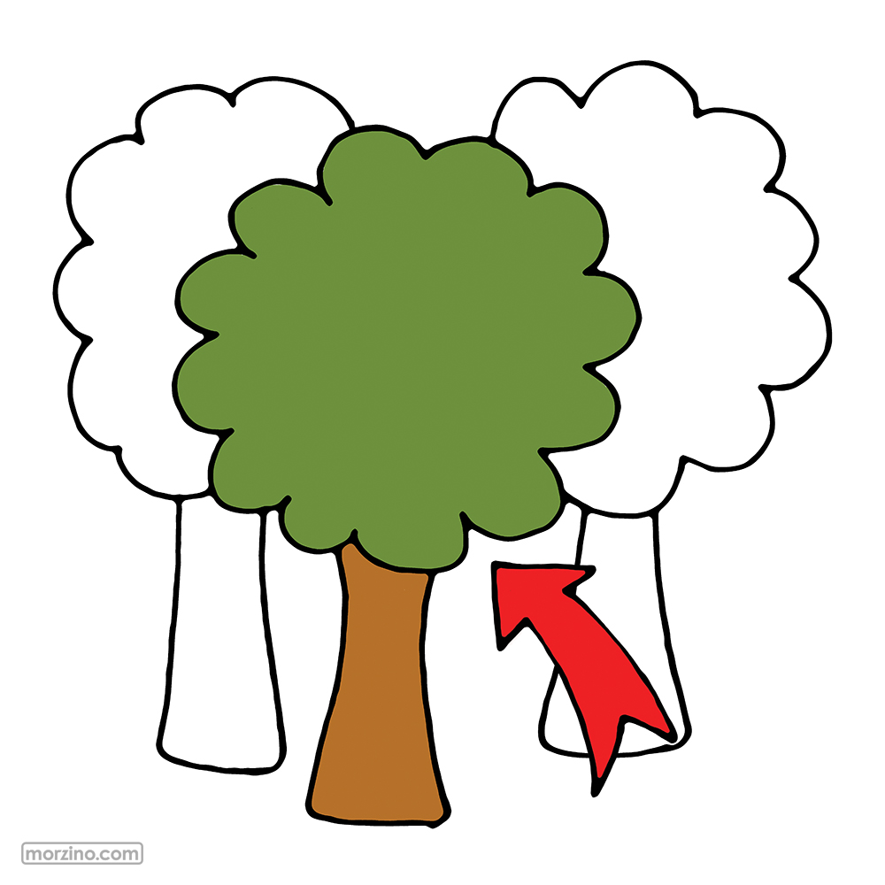 Bildwierderbuch: Bam