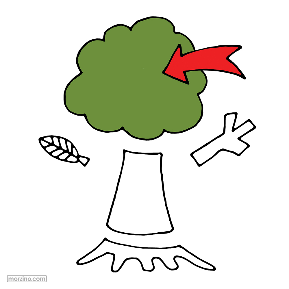 Bildwierderbuch: Kroun