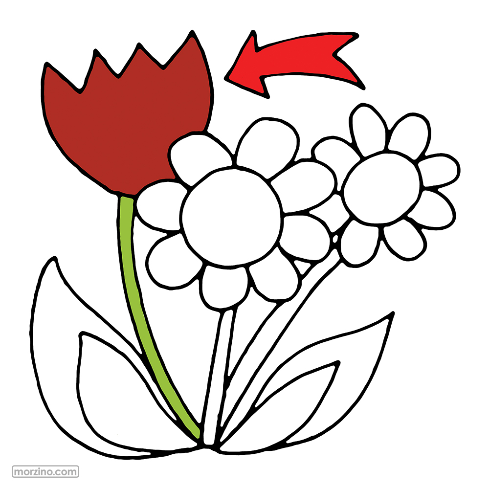 Bildwierderbuch: Blumm