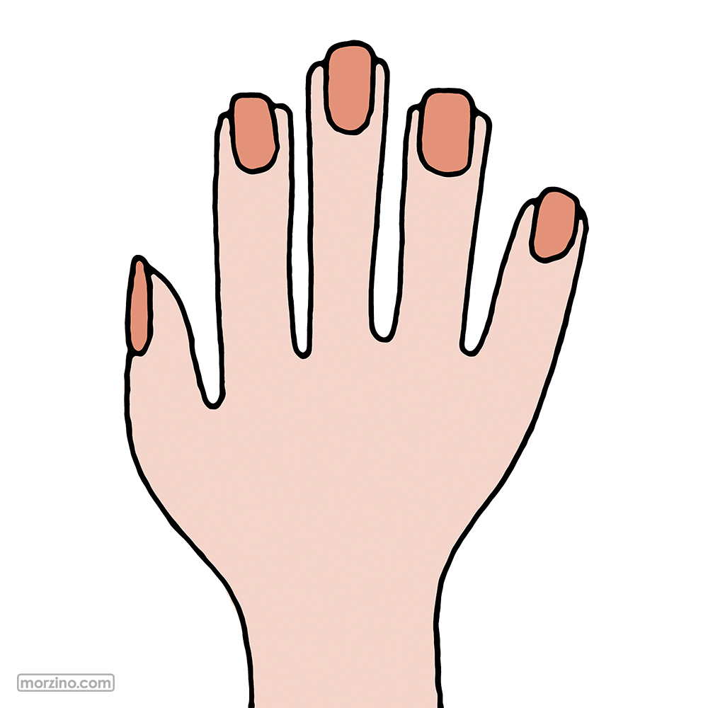 Bildwierderbuch: Hand