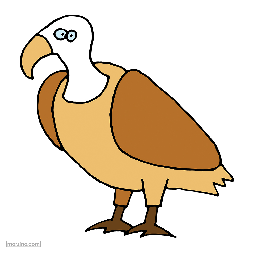 Bildwörterbuch: Geier