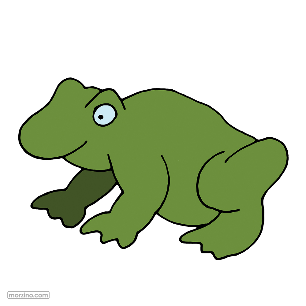 Bildwörterbuch: Frosch