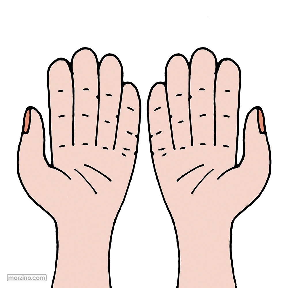 Bildwierderbuch: Hänn