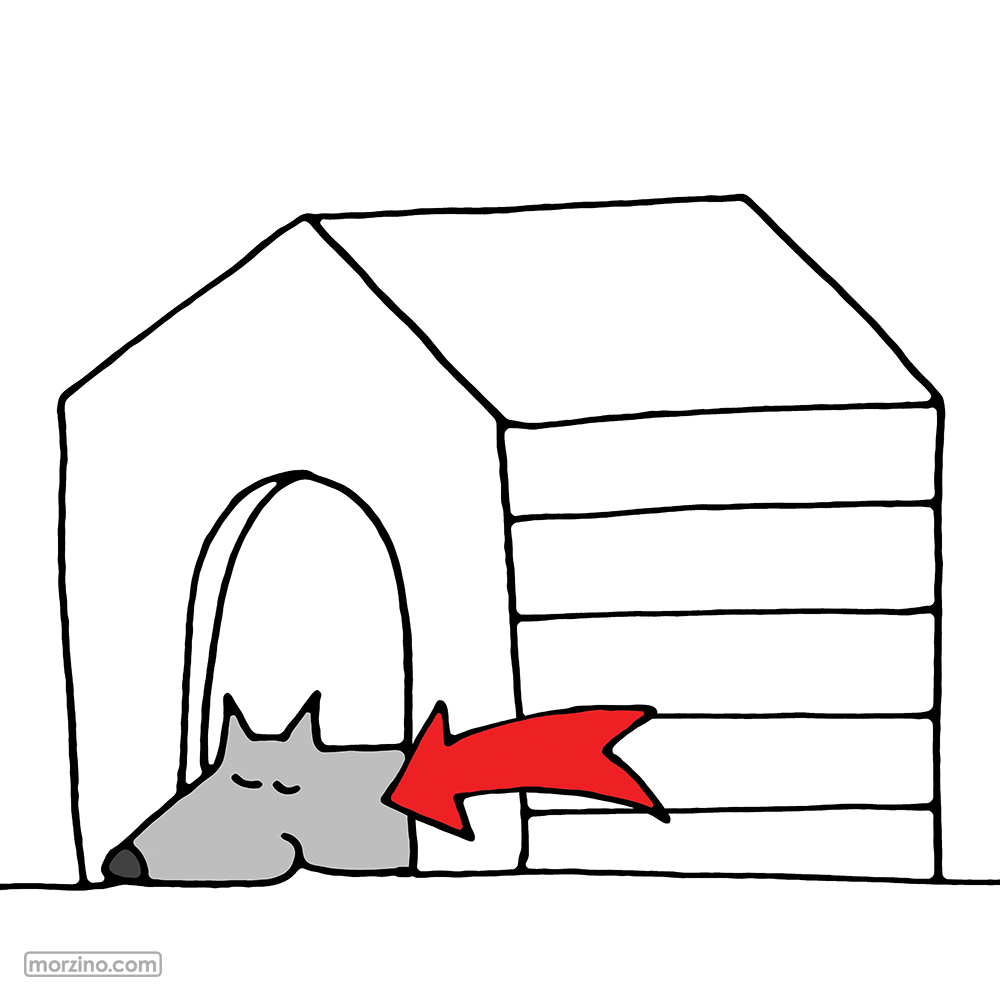 Bildwierderbuch: Hond