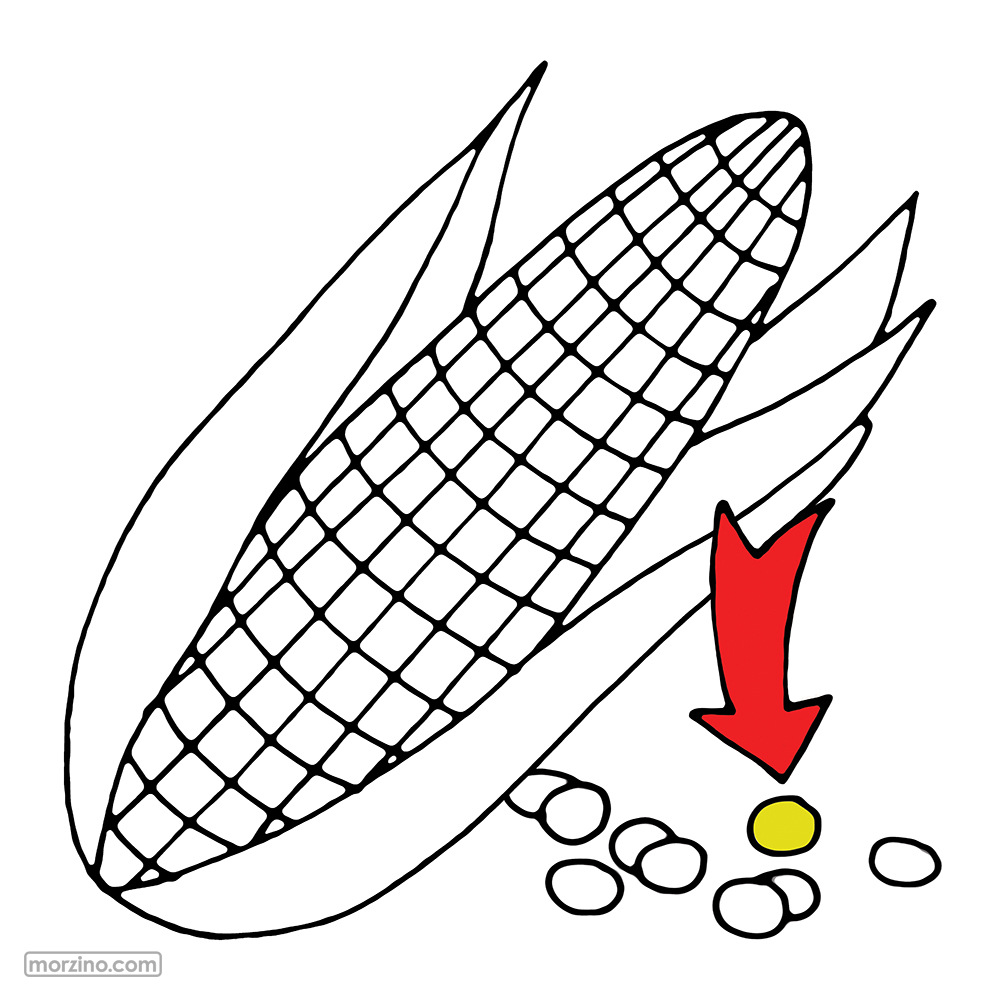 Bildwierderbuch: Maiskär