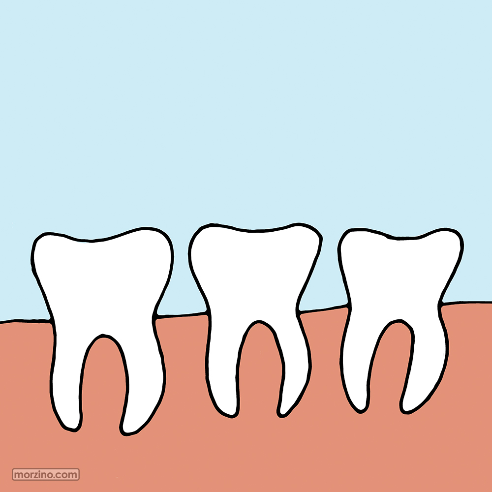 Bildwierderbuch: Zänn