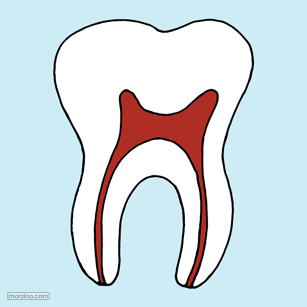 Bildwierderbuch: Zant