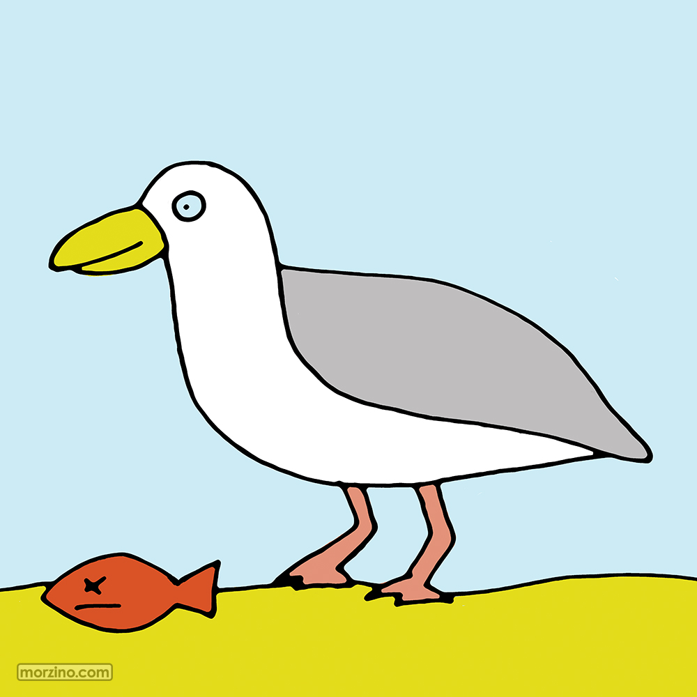 Bildwörterbuch: Möwe