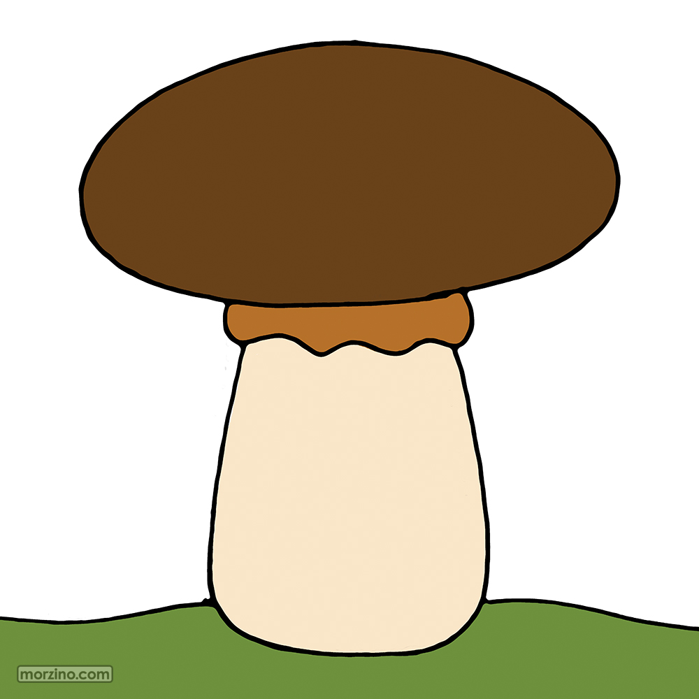 Bildwierderbuch: Champignon
