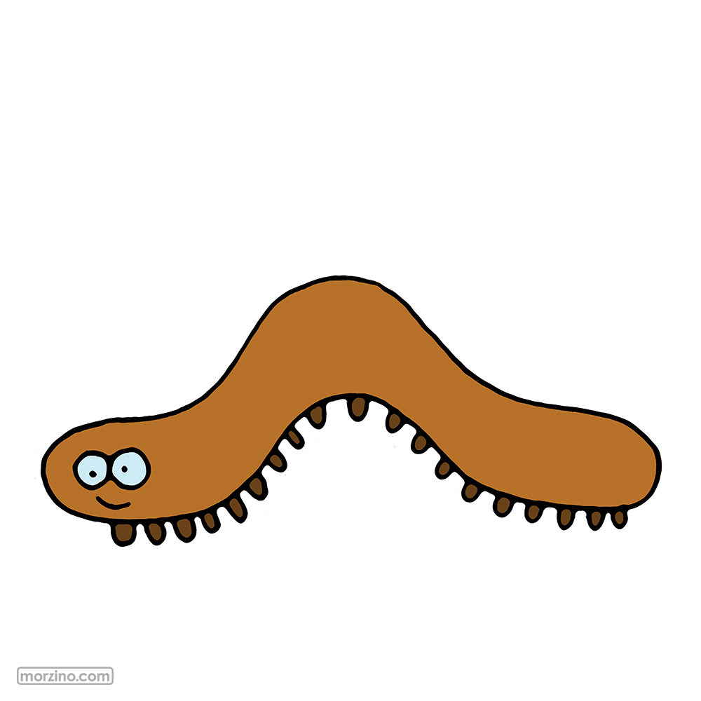 Bildwörterbuch: Tausendfüßler