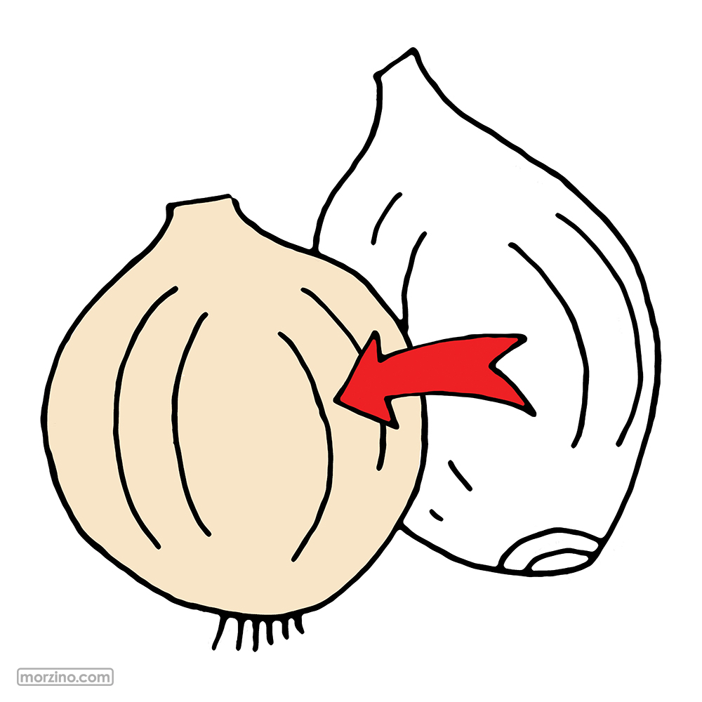 Bildwierderbuch: Zwiwwel