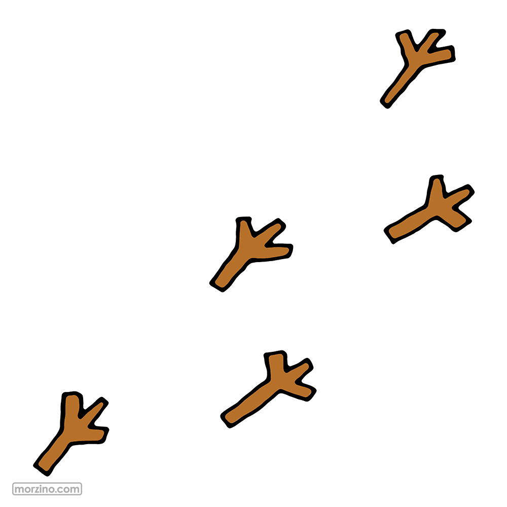 Bildwörterbuch: Vogelspuren