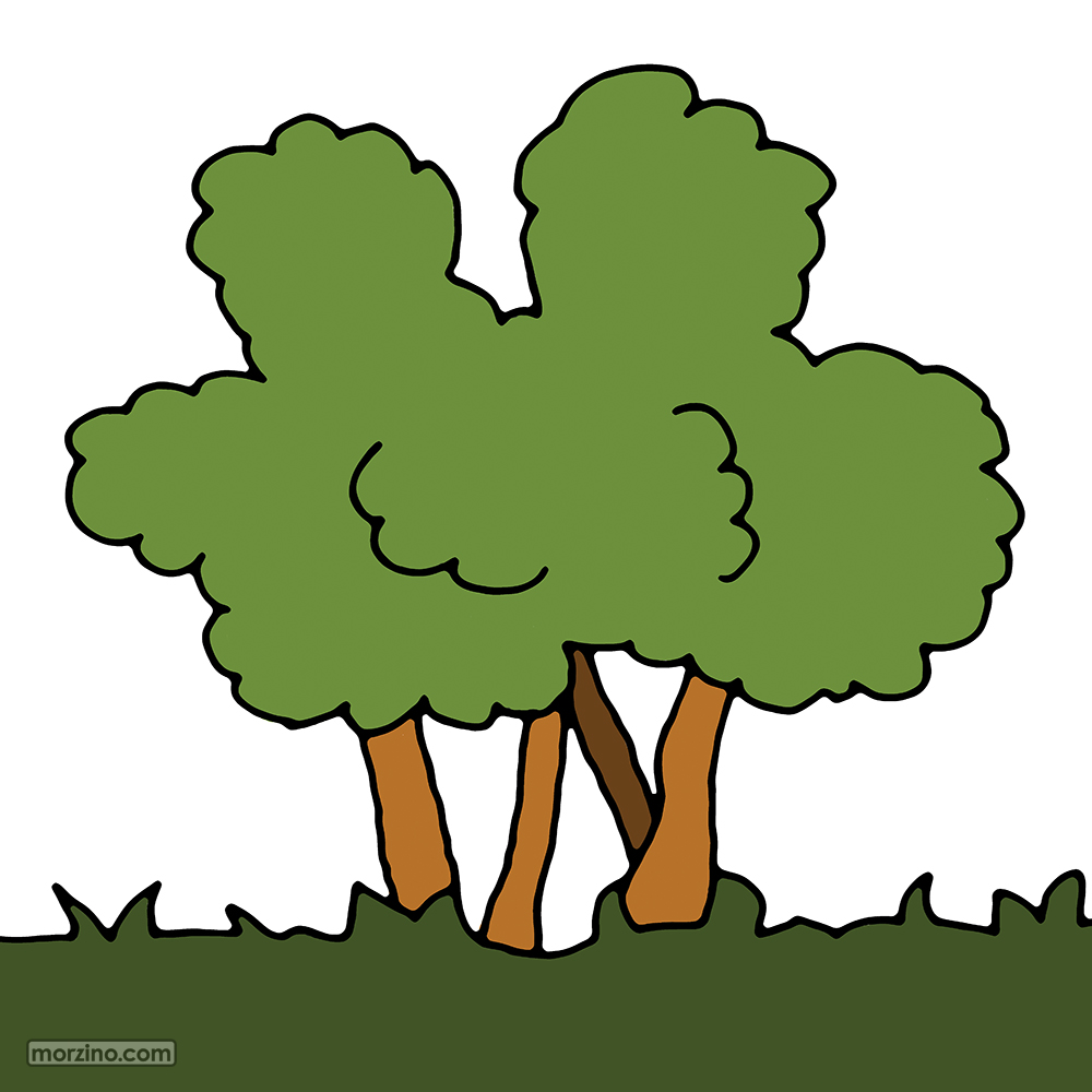 Bildwierderbuch: Strauch