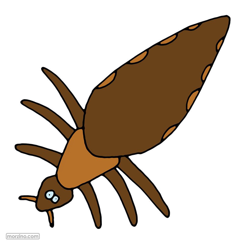 Bildwörterbuch: Laus