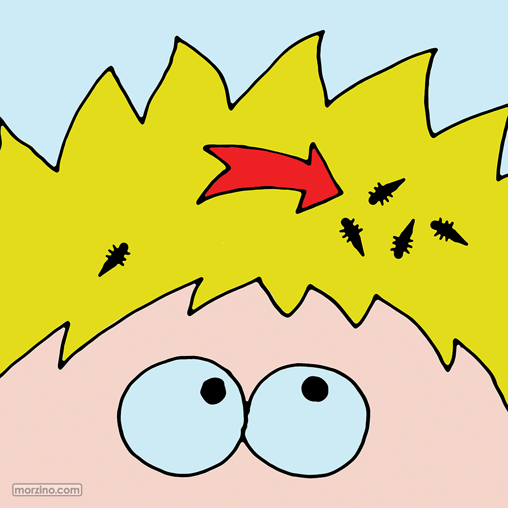 Bildwörterbuch: Läuse