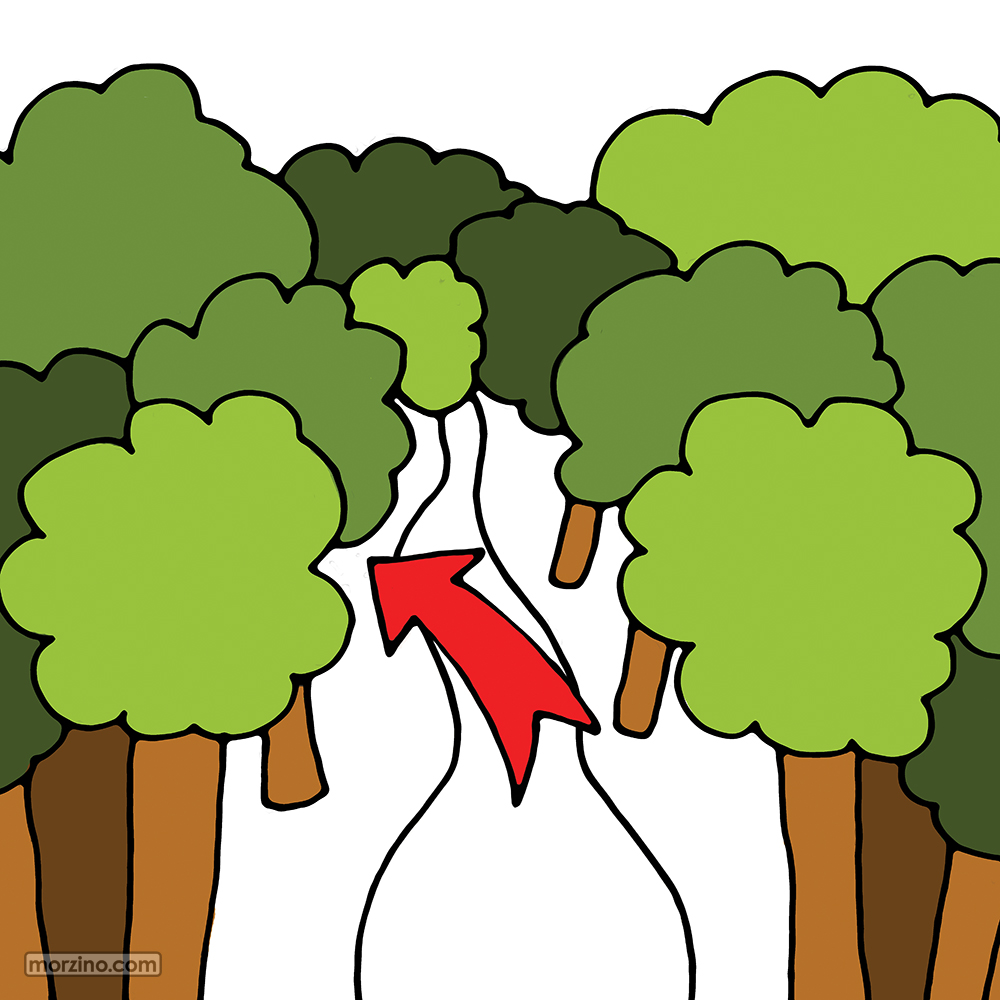 Bildwörterbuch: Wald