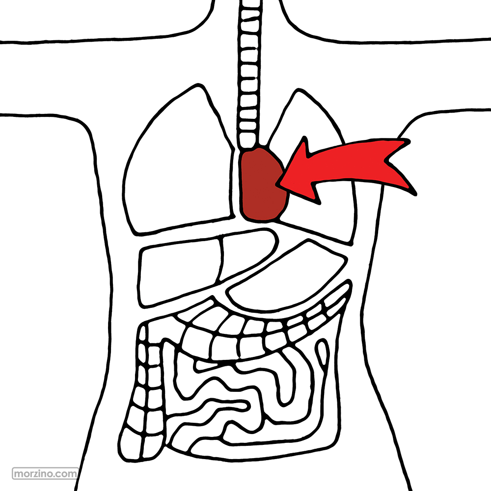 Bildwierderbuch: Häerz