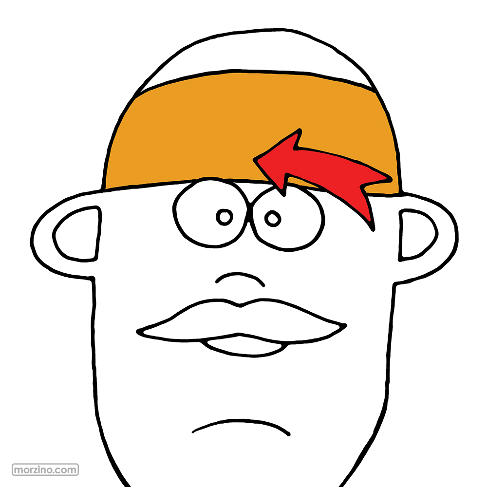 Bildwierderbuch: Stier