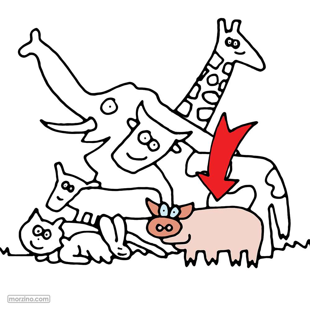 Bildwierderbuch: Schwäin