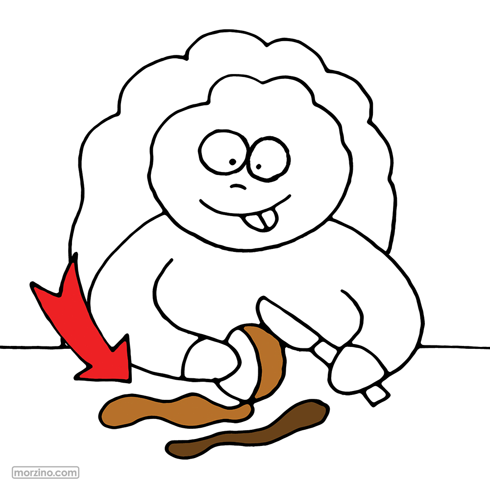 Bildwierderbuch: Schuel