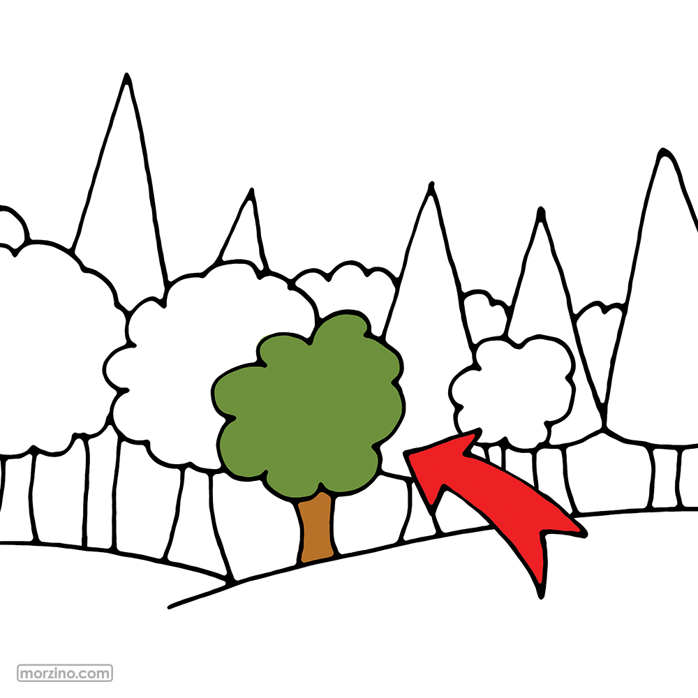 Bildwierderbuch: Bam