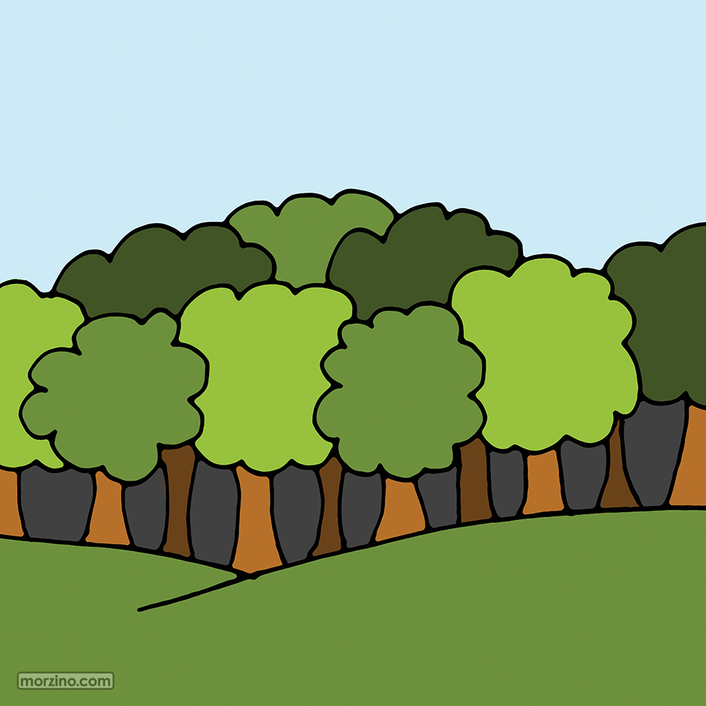 Bildwierderbuch: Laubbësch