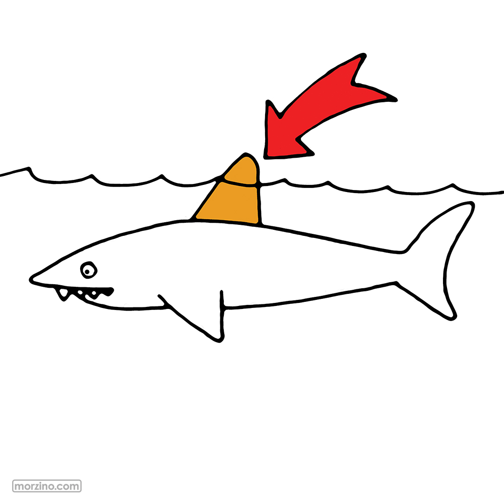 Bildwierderbuch: Floss