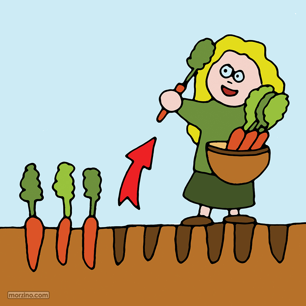 Bildwörterbuch: Ich ernte