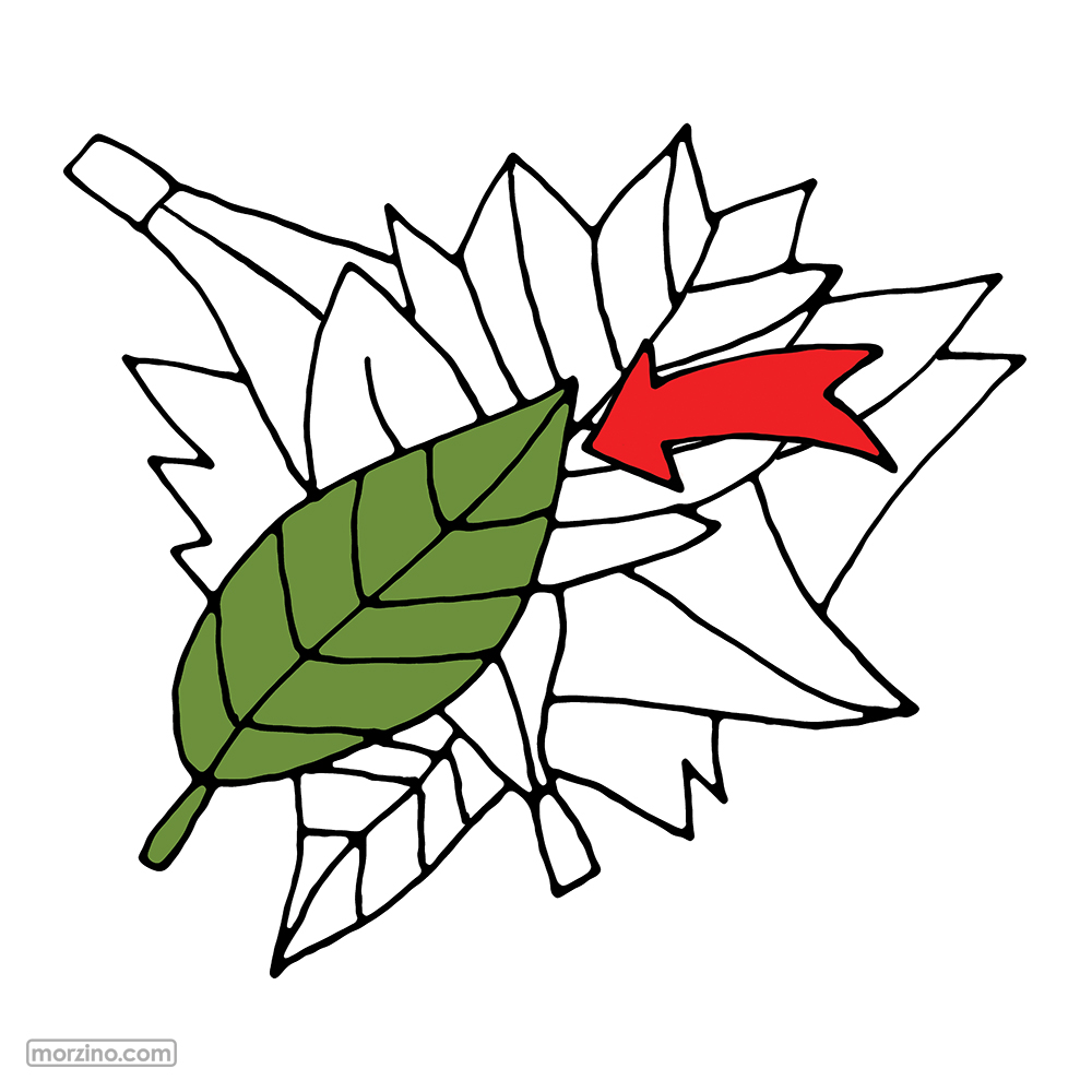 Bildwörterbuch: Blatt