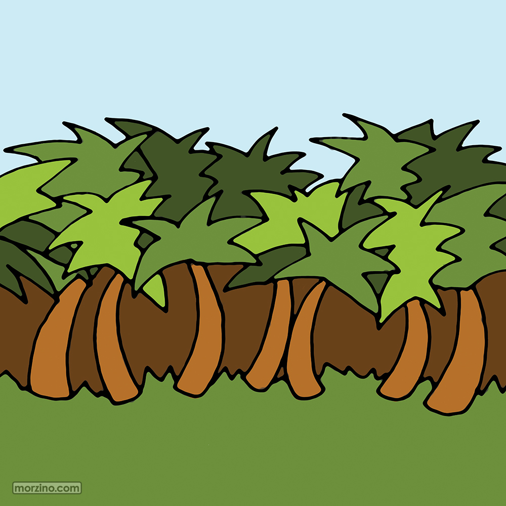 Bildwierderbuch: Palmebësch