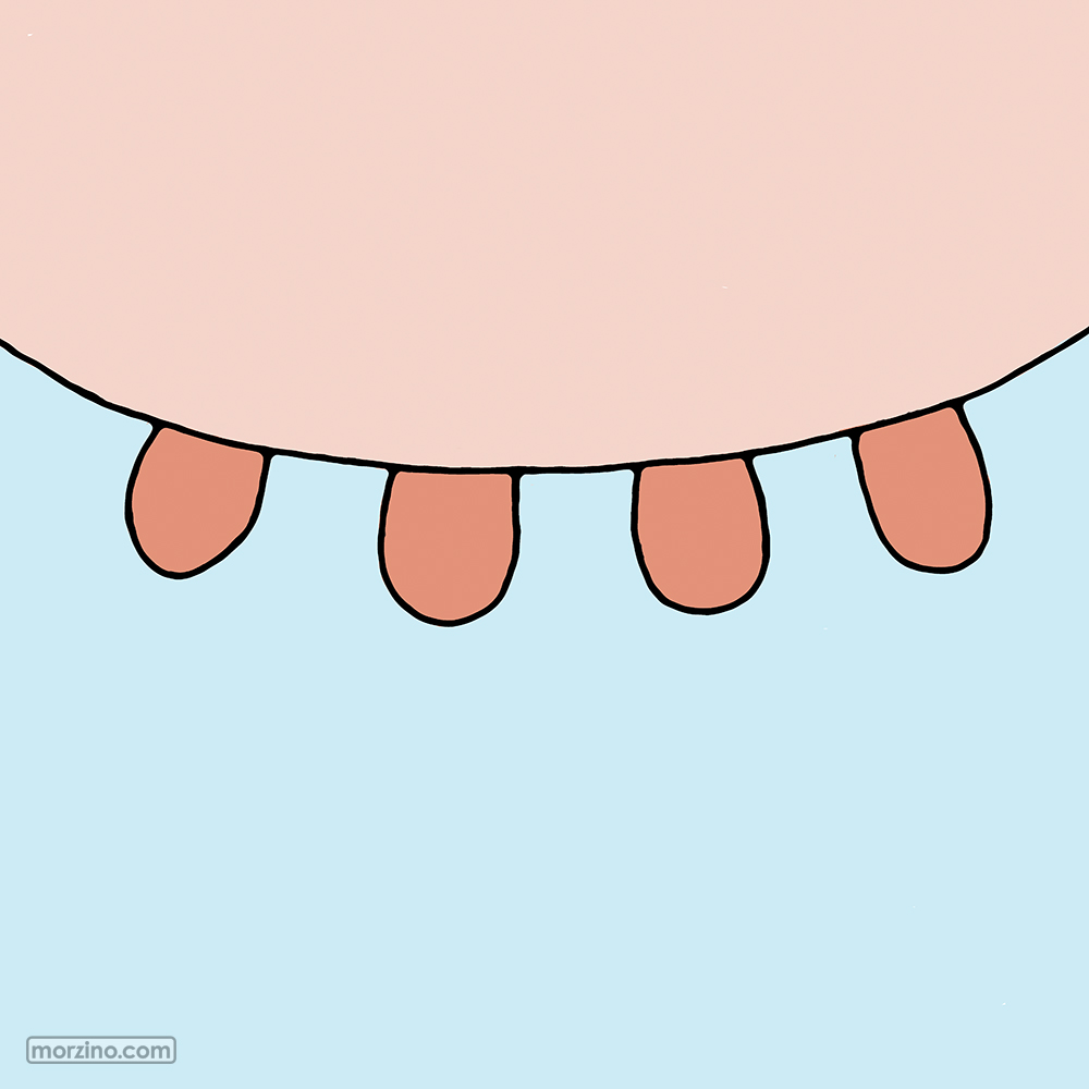 Bildwörterbuch: Euter