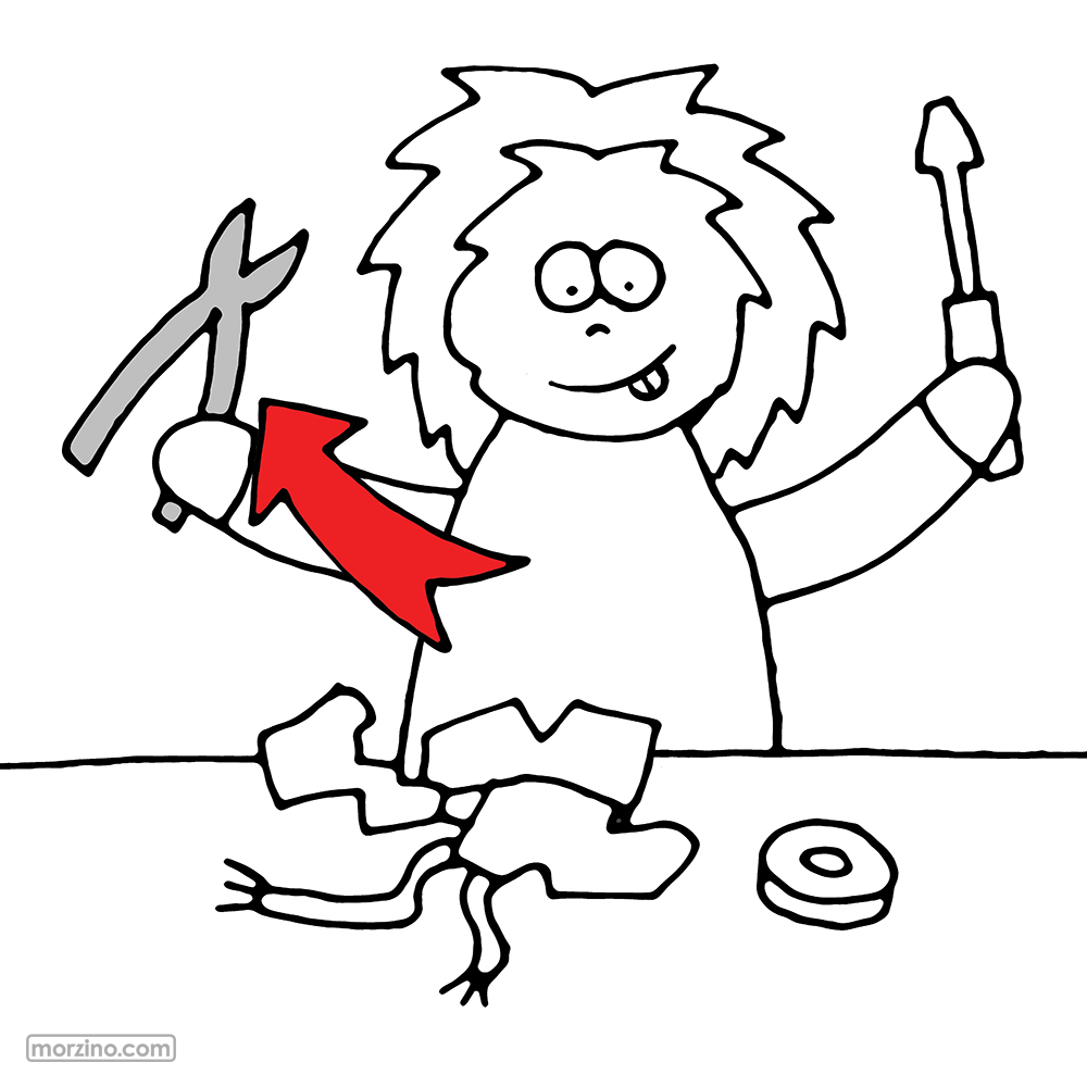 Bildwierderbuch: Zang