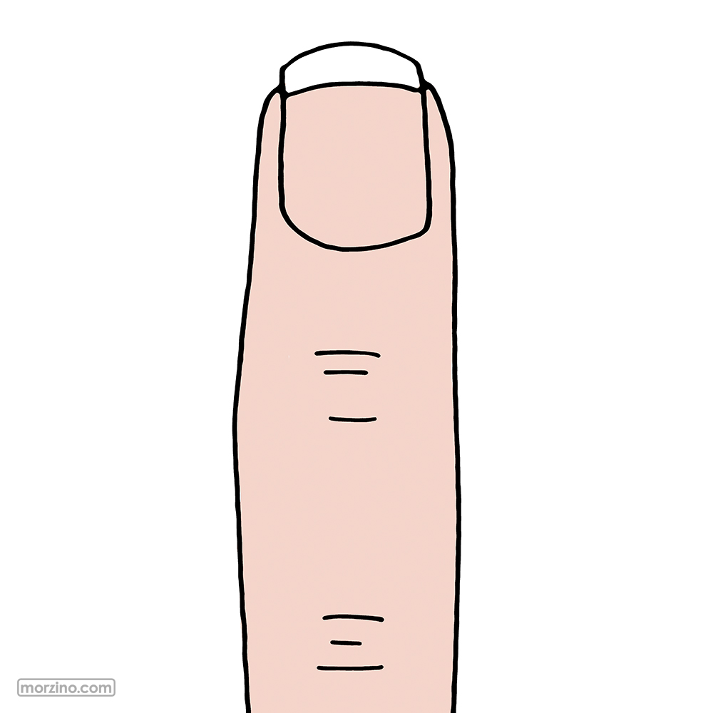 Bildwierderbuch: Fanger