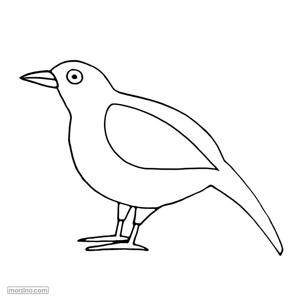 Bildwörterbuch: Schnabel