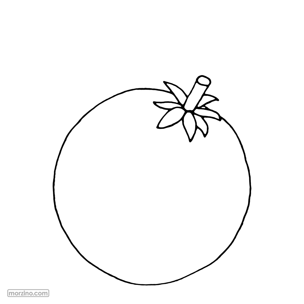 Bildwörterbuch: Tomaten