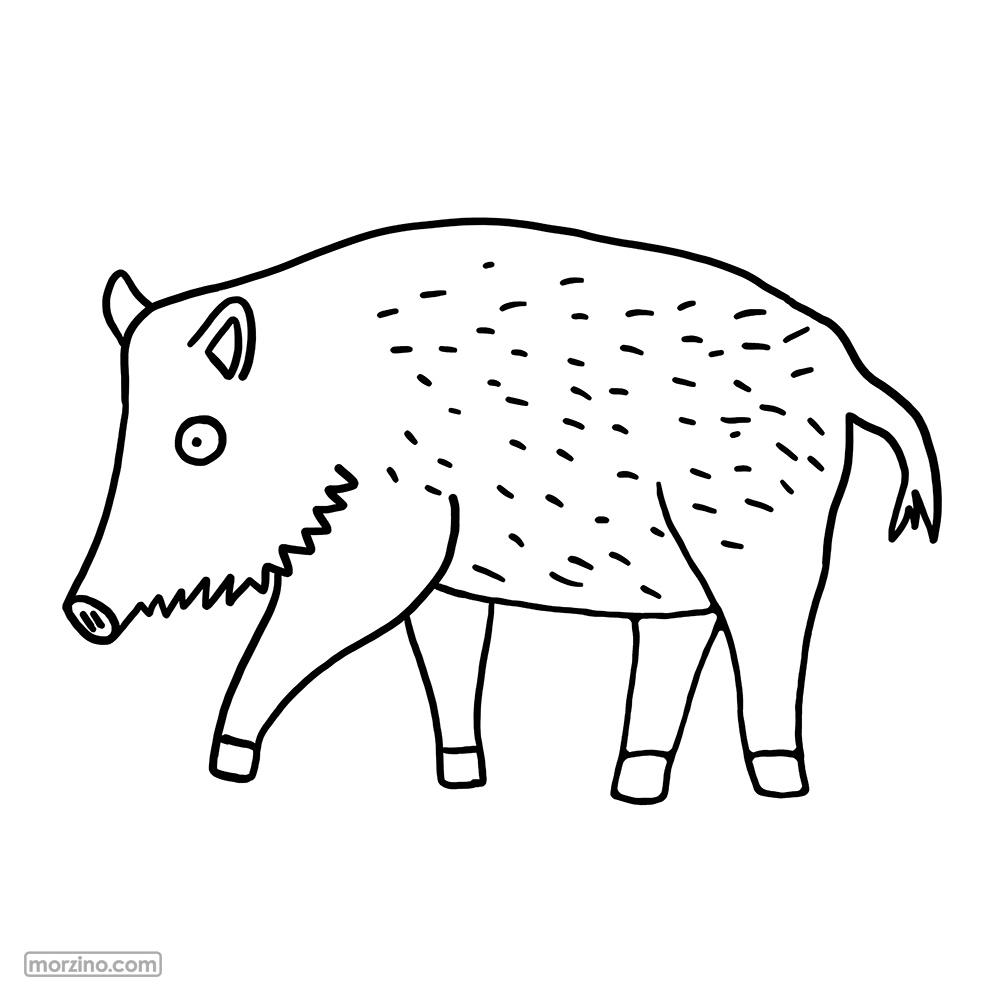 Ausmalbild: Wildschwein