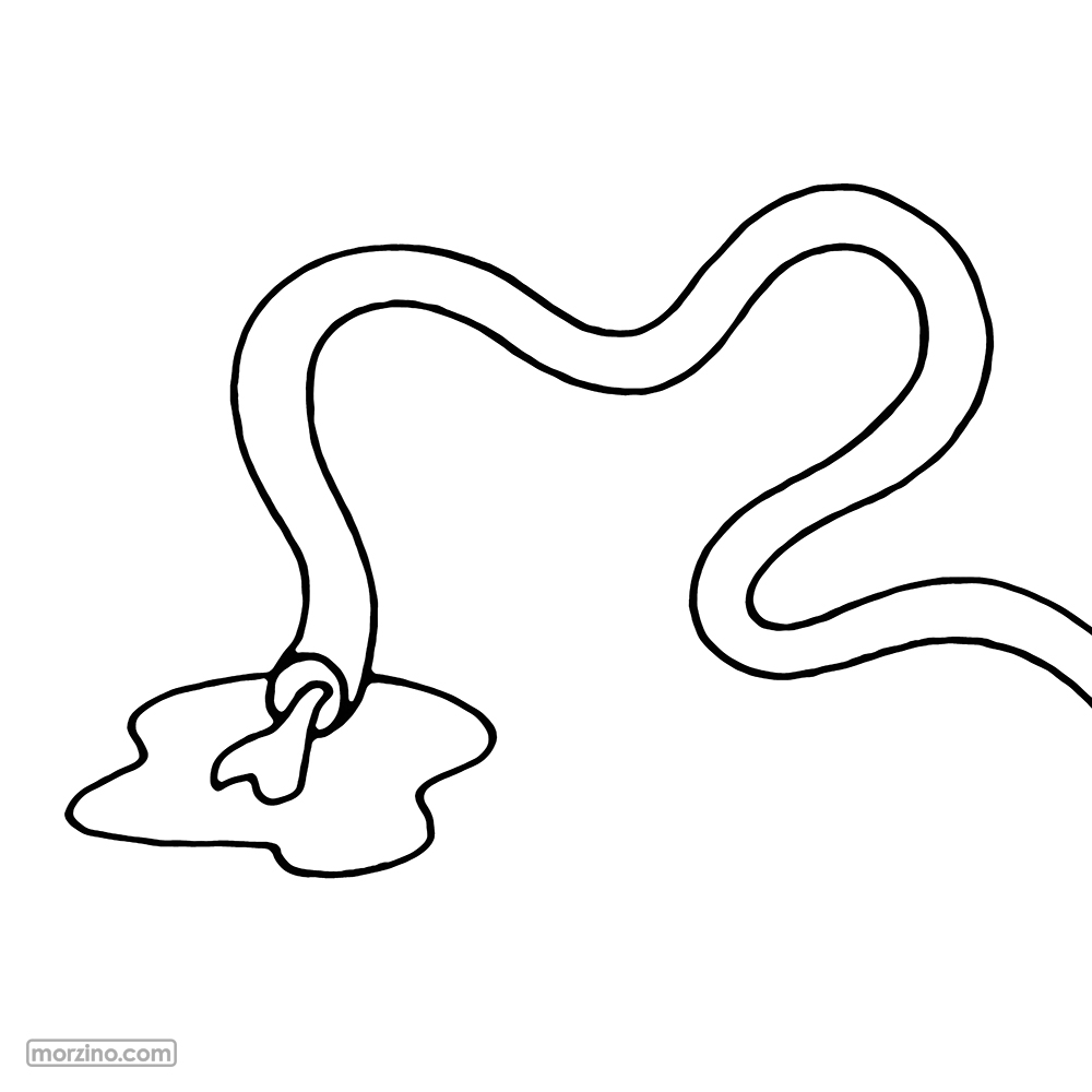 Ausmolbild: Schlauch