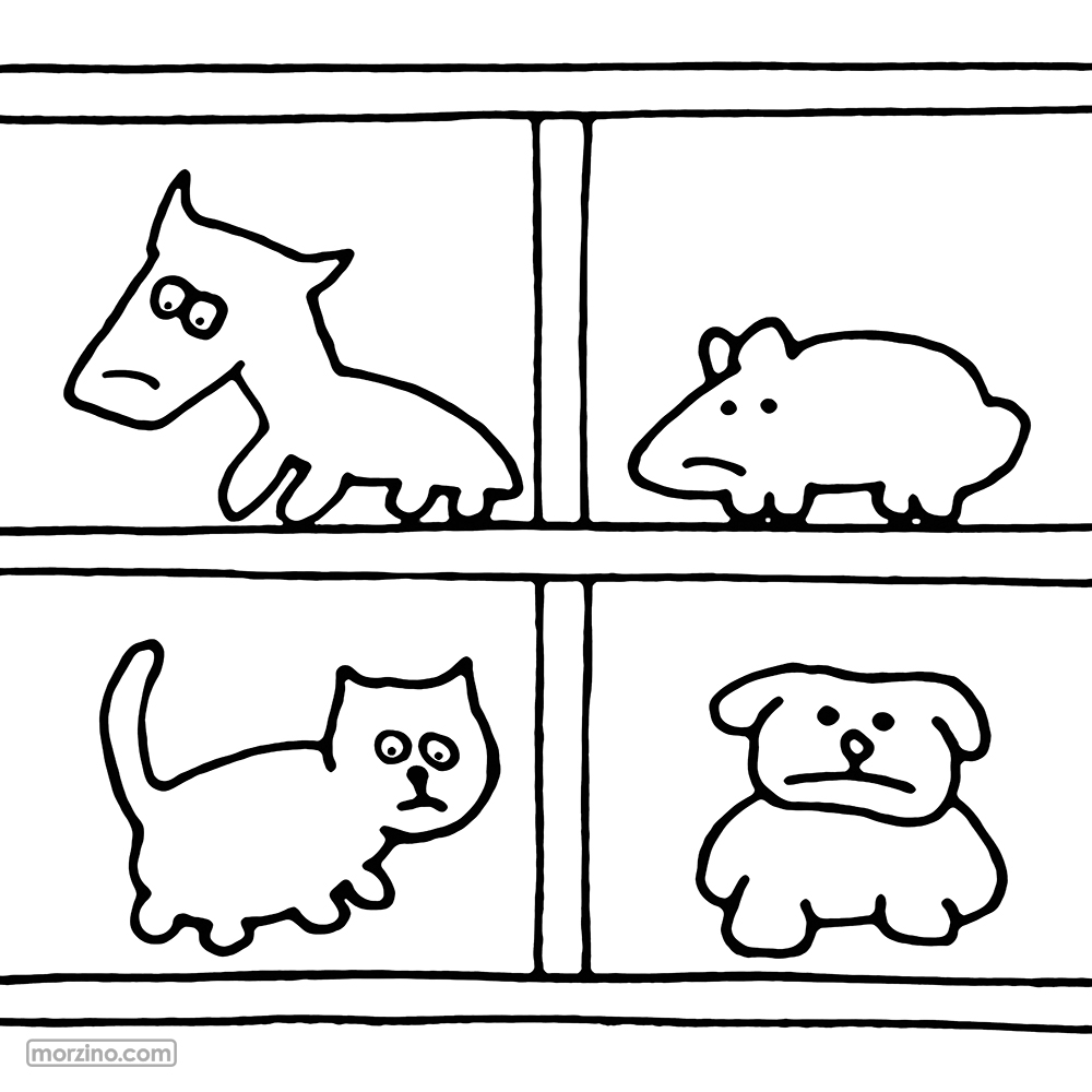 Ausmolbild: Déierenasyl