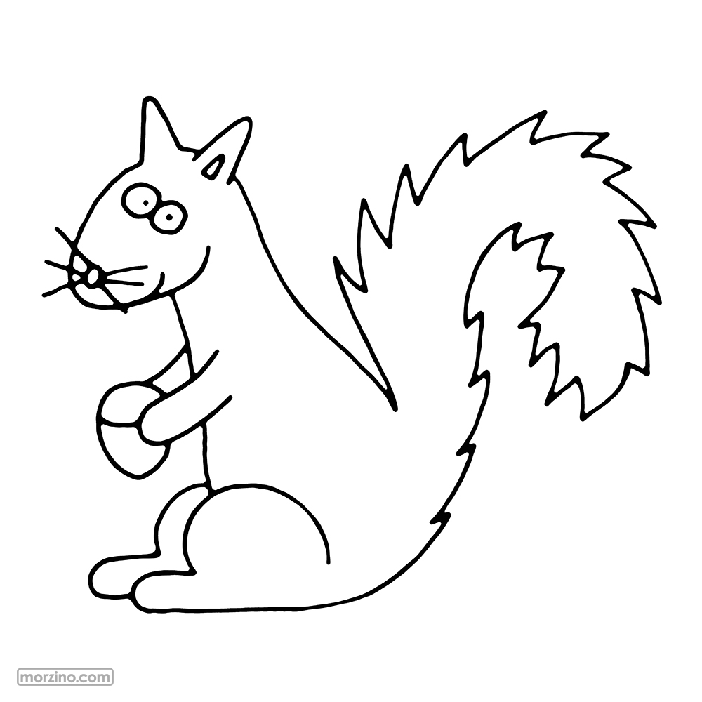 Ausmalbild: Eichhörnchen