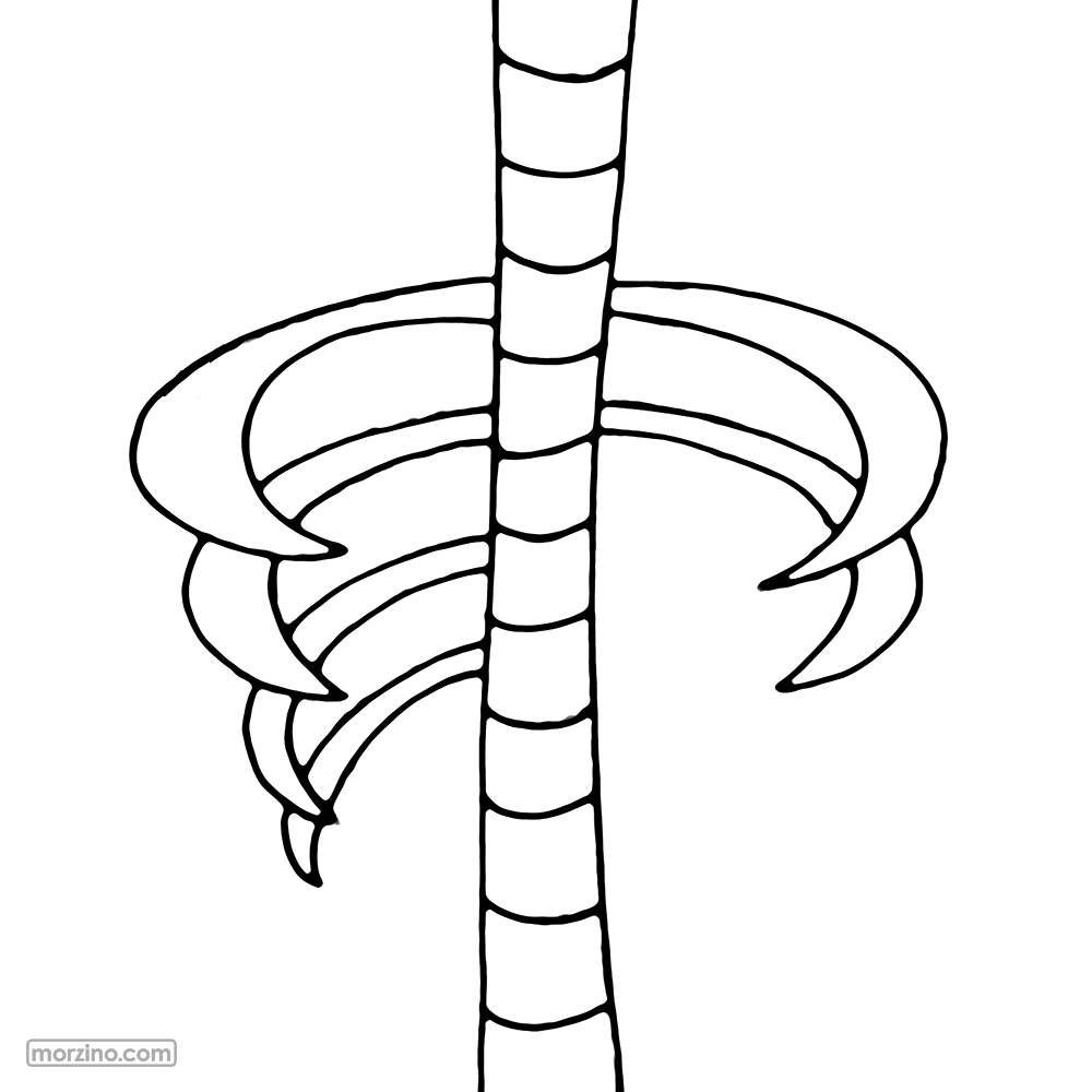 Ausmalbild: Wirbelsäule