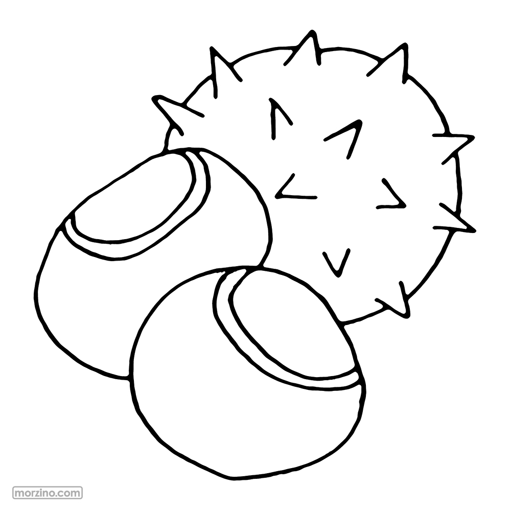 Ausmolbild: Käschten