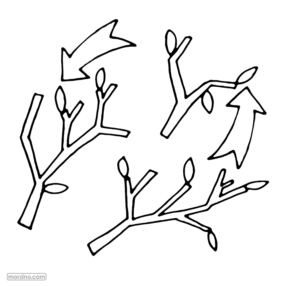 Bildwörterbuch: Blätter