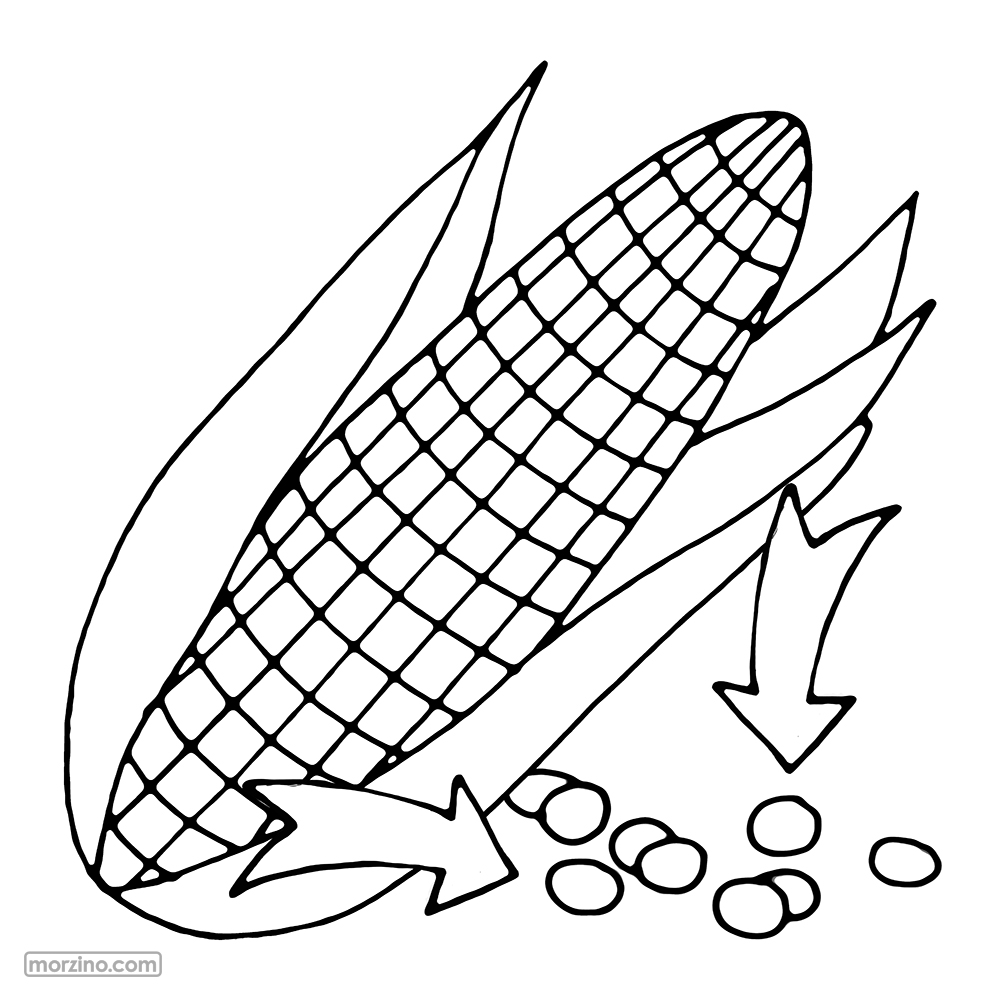 Ausmolbild: Maiskär
