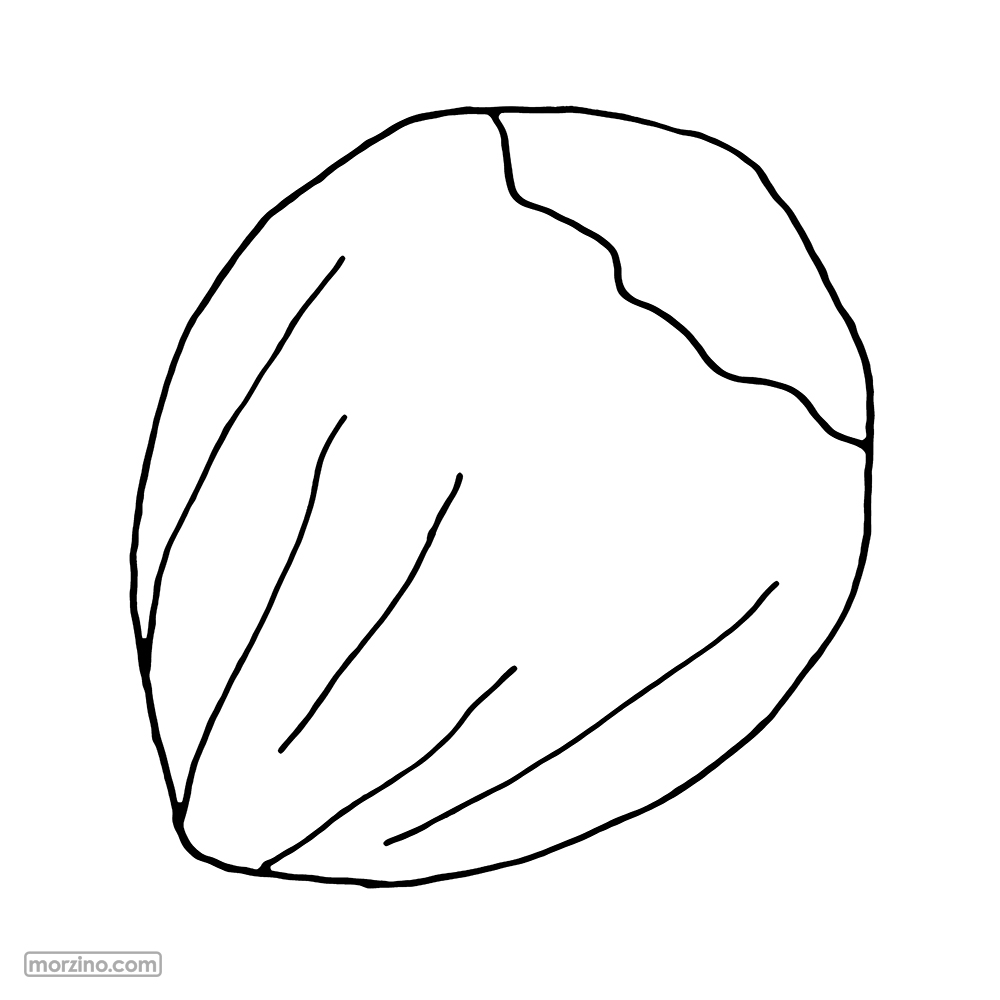 Ausmolbild: Hieselnoss