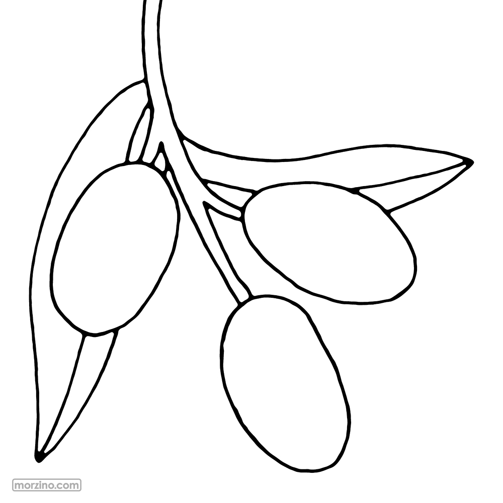 Ausmolbild: Olive