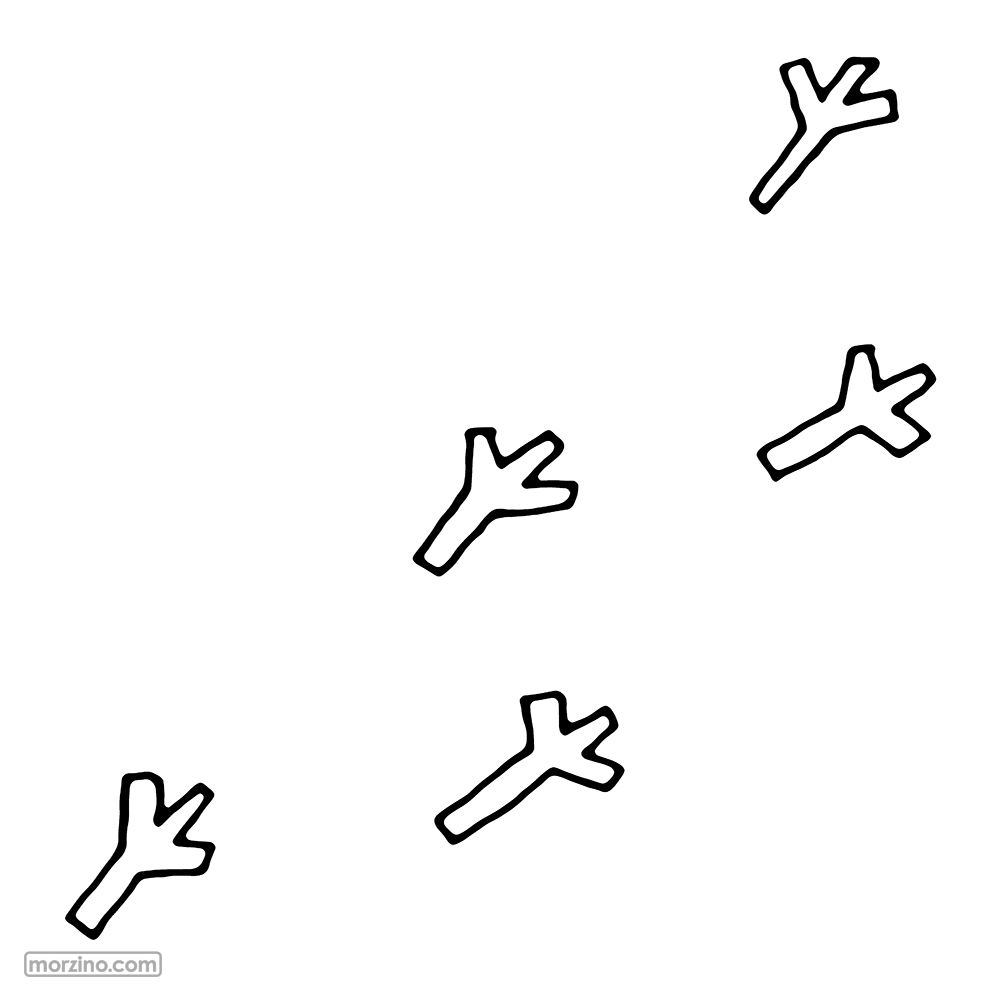 Ausmalbild: Vogelspuren