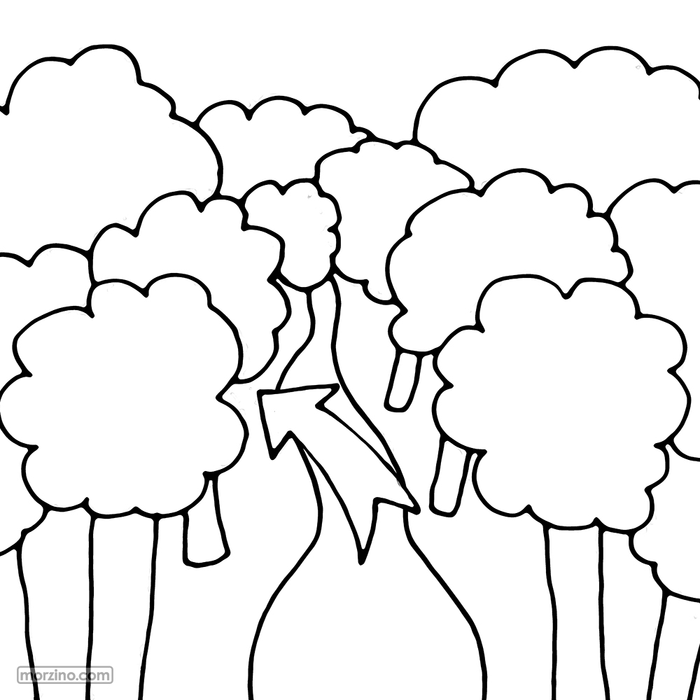 Bildwörterbuch: Wald