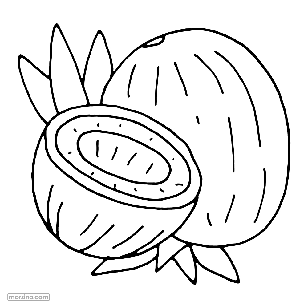 Ausmalbild: Kokosnuss
