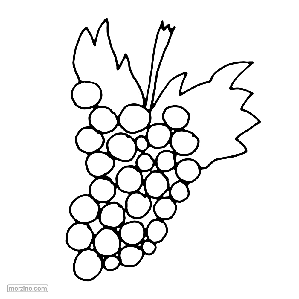 Ausmalbild: Weinrebe