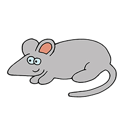 Maus